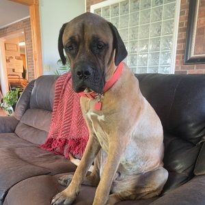 Meet your Posher, Richard